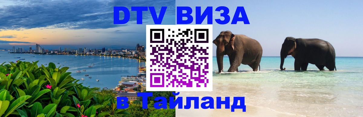 Сколько стоит DTV виза — актуальные цены, оформление даже без документов - 19.11.2025 